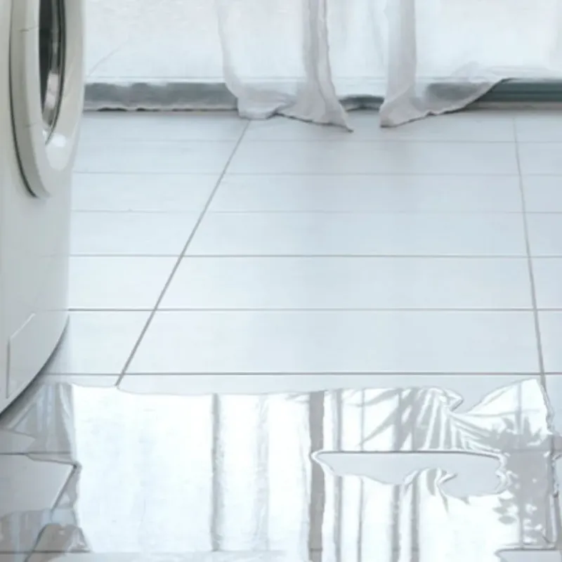 Appliance Leak Cleanup in Williamsville, IL