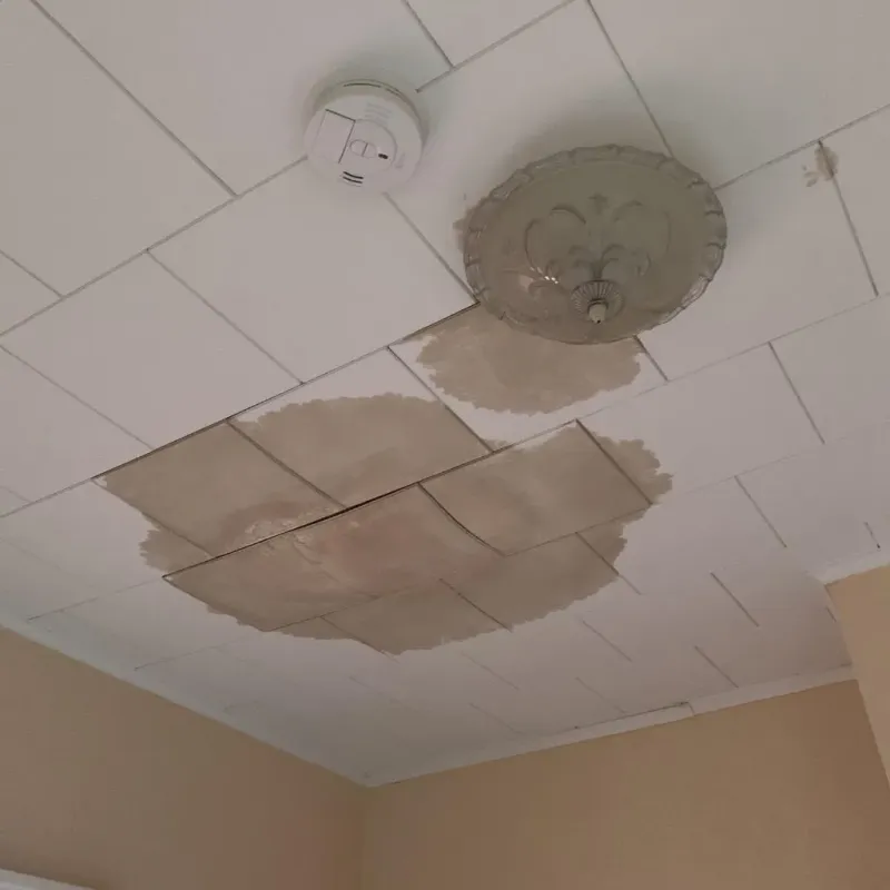 Ceiling Water Damage Repair in Williamsville, IL