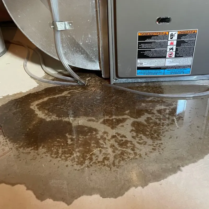 Pipe Burst and Leak Restoration in Williamsville, IL
