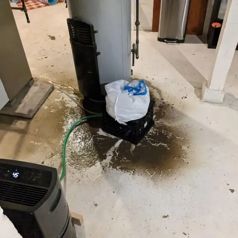 Sewage Backup Cleanup Service in Williamsville, IL